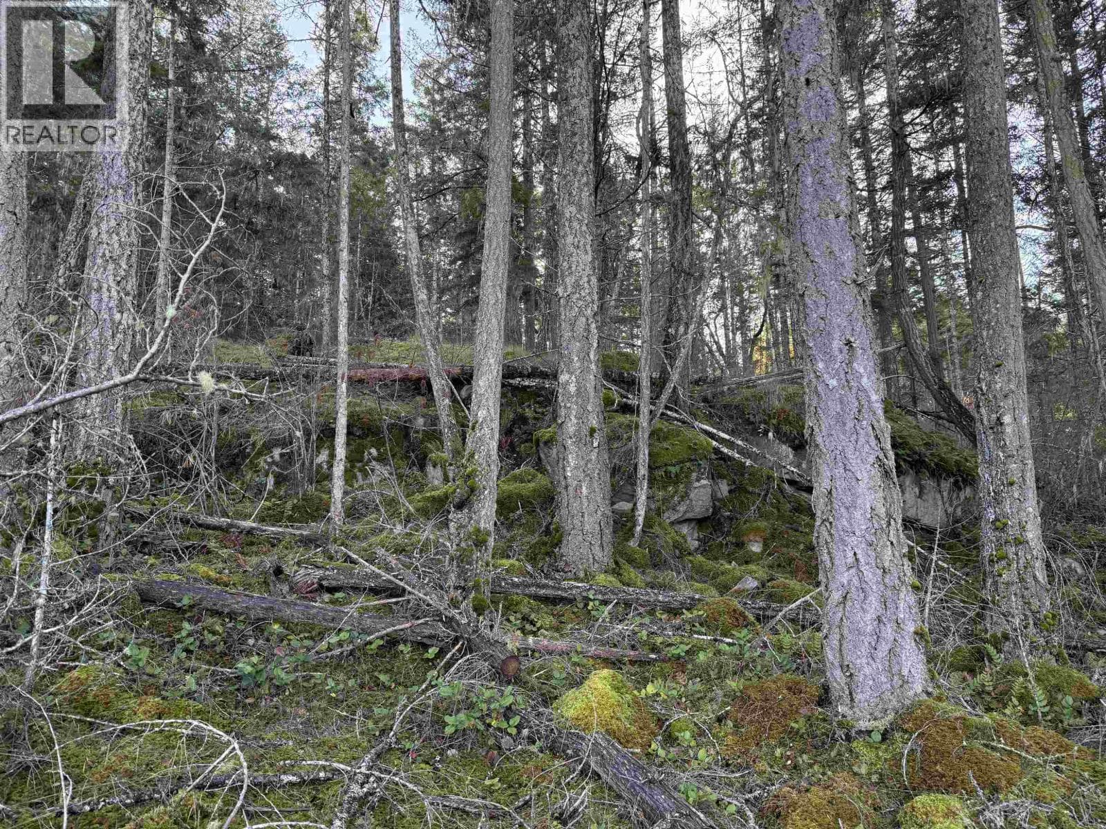 LOT B FRANCIS PENINSULA ROAD — main photo