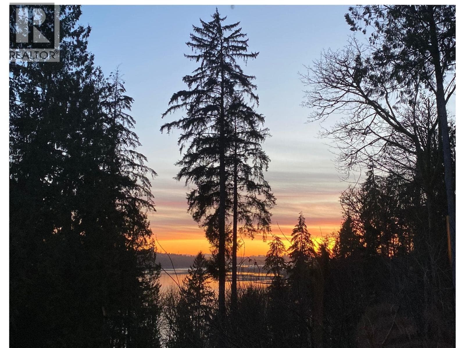 301 560 RAVEN WOODS DRIVE — photo 3