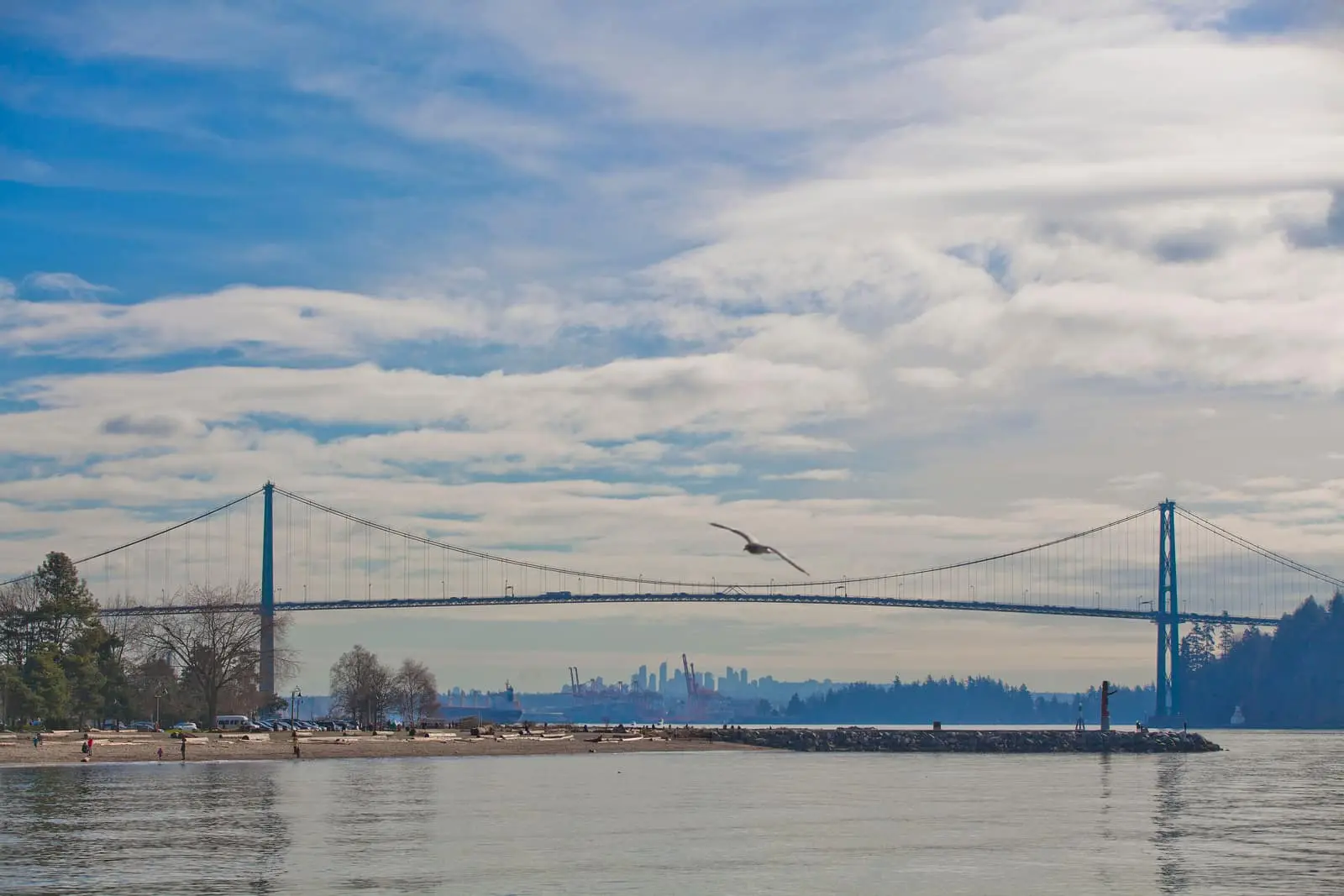 Ambleside Park beach with the Lions Gate Bridge in West Vancouver